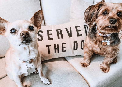 Introducing a Second Dog? How to Help Your First Pup Love the Upgrade