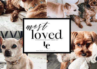 The Gift Guide Your Dog Wants You To See