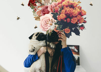 The Calm Dog Mom’s Guide to Planning for the Future Without Anxiety