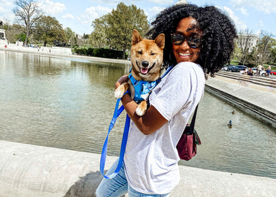How Are We Living, DC? [Check Out The Post-Pandemic Lives Of Dog Moms From Around The Globe]