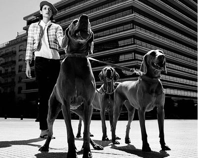 Gift Card Stash Dash [Where Dog Moms Are Splurging]