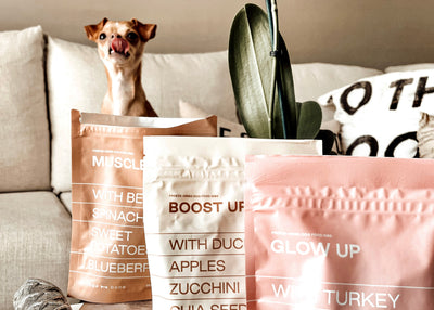 Ciao Chow: Spice Up Your Dog’s Meal Time With Maxbone