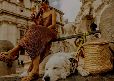 Caitlyn’s Insider Travel Secrets [How To Travel Europe With Your Dog]
