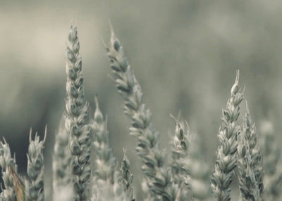 Is The Side Hustle Culture Low Key Toxic? [6 Benefits of Slow Grow]