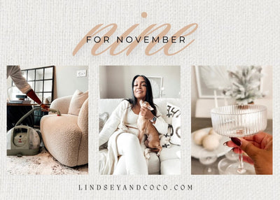 9 for November [Top Sellers for Cool Dog Moms & Dog Lovers]