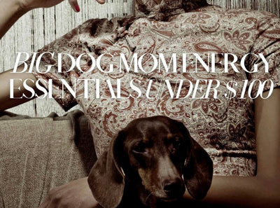 BIG Dog Mom Energy Essentials Under $100 [The Best Affordable Dog Mom Gift Ideas]