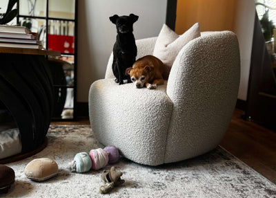 What Really Happens When You Raise Sibling Puppies: A Month-by-Month Reality Guide