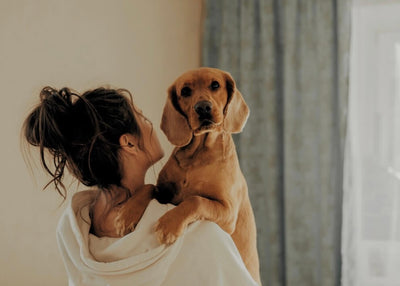 Noise Training for Dogs: How to Calm Barking, Fear & Fireworks Freak-Outs