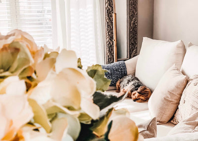 4 Simple Tips for Stylish Dog Mom Homes