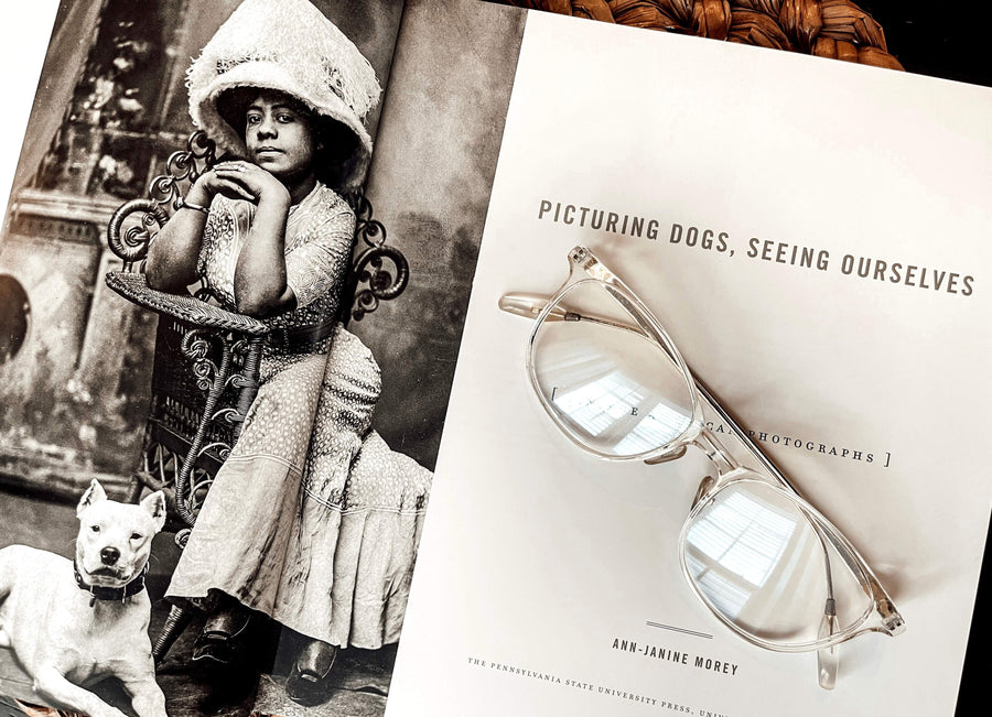 Dog-themed coffee table book and glasses